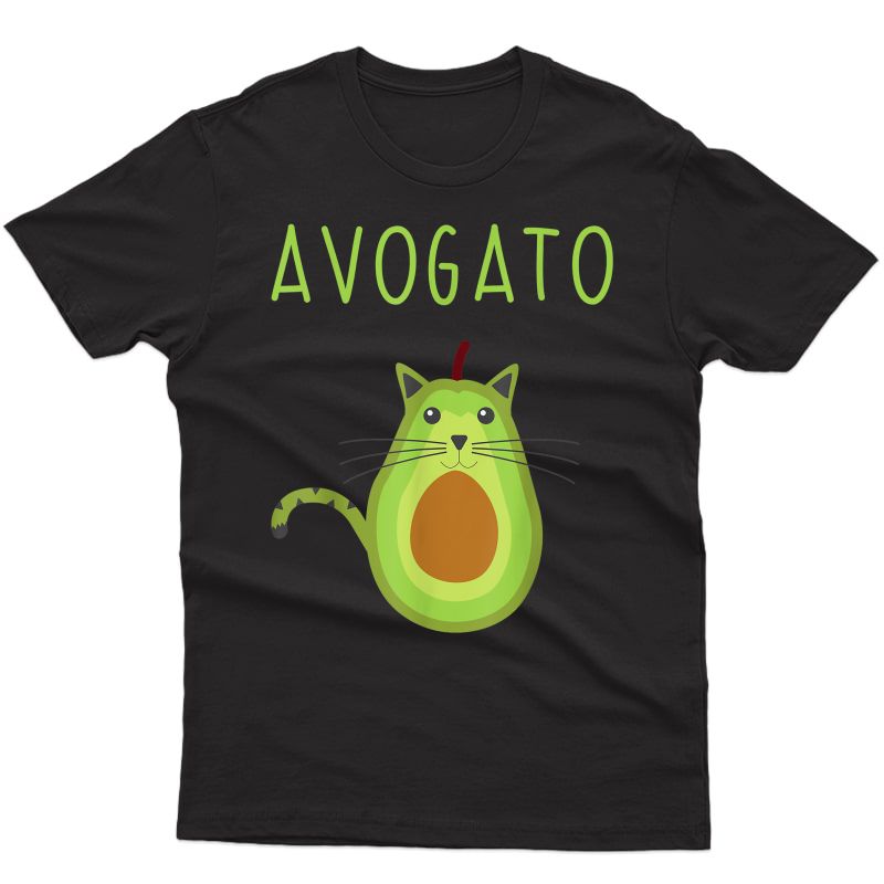 Avogato Cinco De Mayo Gift Cinco De Meow Cat T-shirt