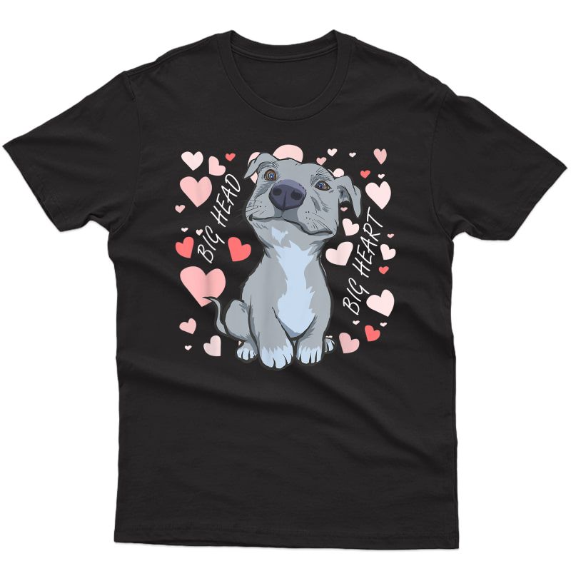 Big Heart Pitbull Pibble Mom Gift T-shirt