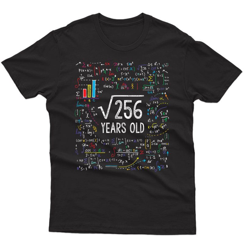 Square Root Of 256 16th Birthday 16 Year Old Gifts Math Bday T-shirt